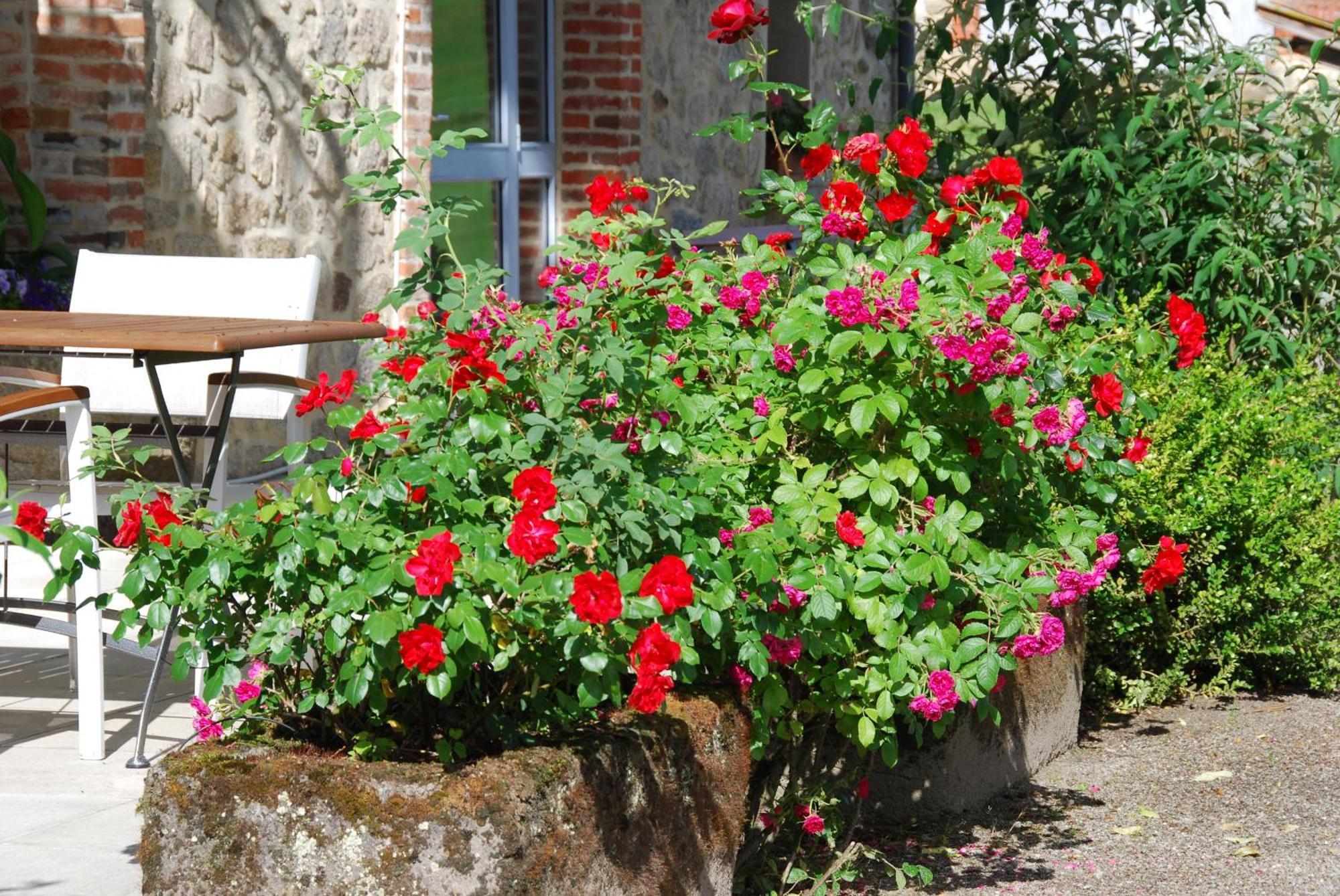 Les Maisons De Concasty Boisset  Quarto foto